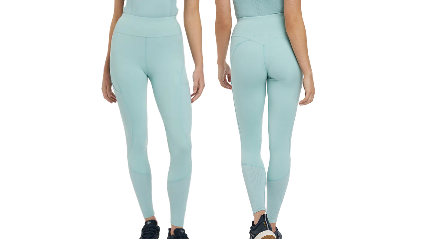 Lemieux Lydia Mesh Leggings