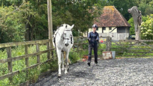 Long-reining a grey horse