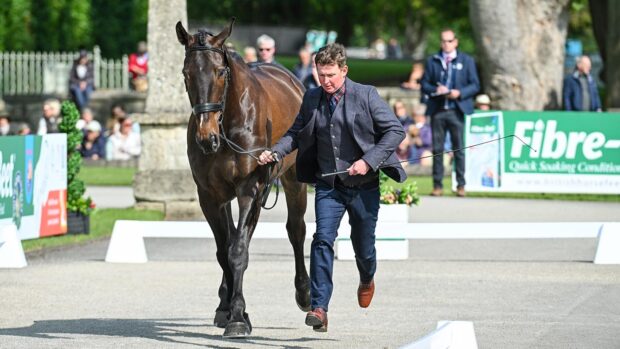 Bramham Horse Trials final trot-up: Matthew Heath and Benedict Radau