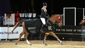 Michaela Scott canters around the HOYS arena on Eddie G Z who is wearing the HOYS Foxhunter winners rug.