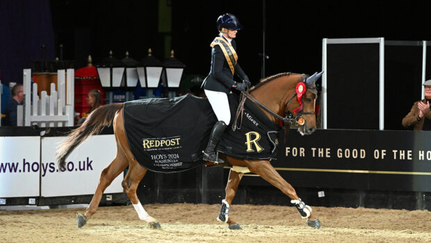 Michaela Scott canters around the HOYS arena on Eddie G Z who is wearing the HOYS Foxhunter winners rug.