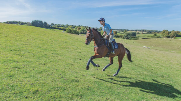 How Harry Meade gets horses fit, galloping up a hill