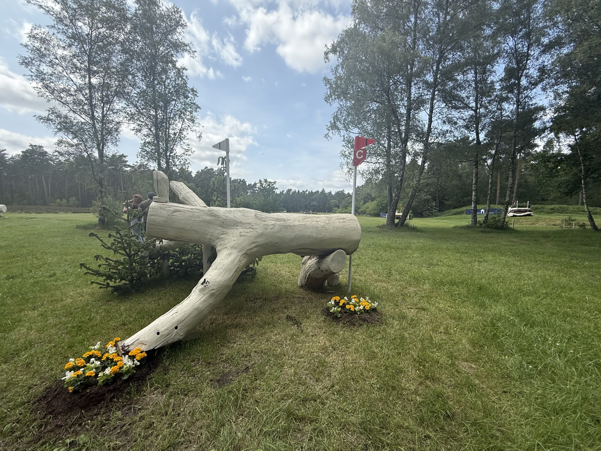 Luhmühlen Horse Trials cross-country