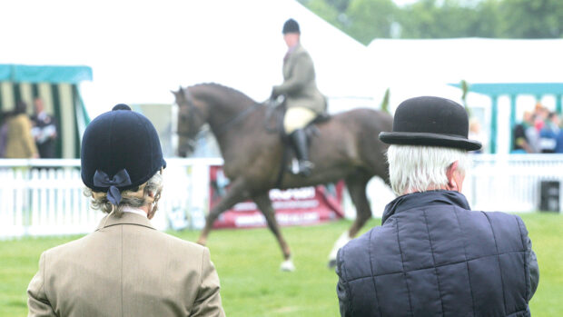 A view from behind of two showing judges with a show horse trotting past in front of white marquees