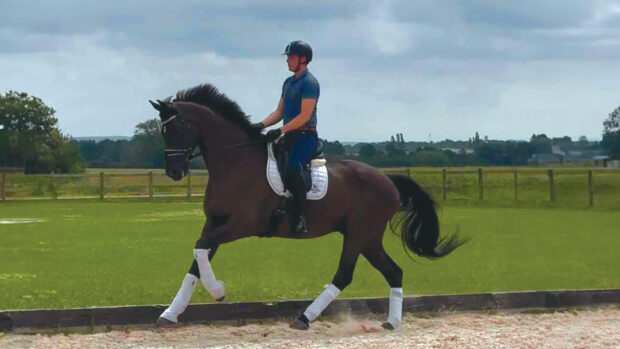 Milo Johnston on his dressage comeback