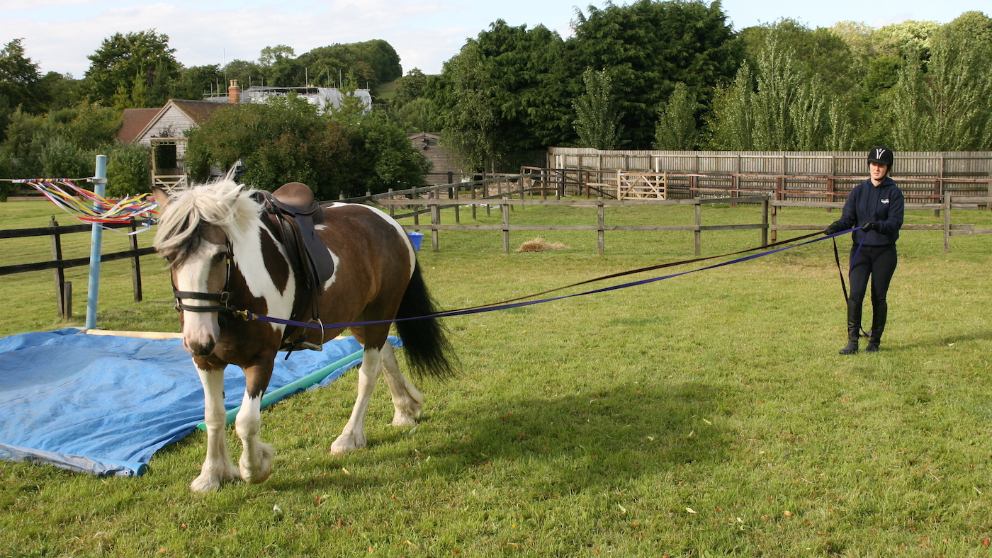 Teaching horse to cope with spooky objects