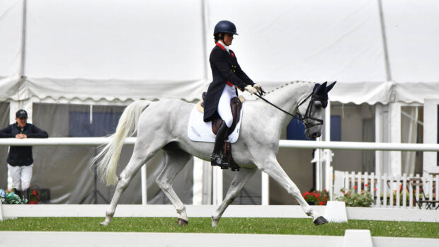 A white horse trots across a grass dressage arena in front of marquees.