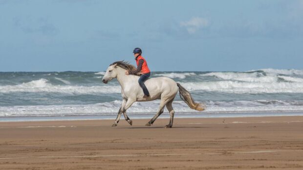 Emma Massingale riding grey horse on beach, to illustrate beginner to liberty training