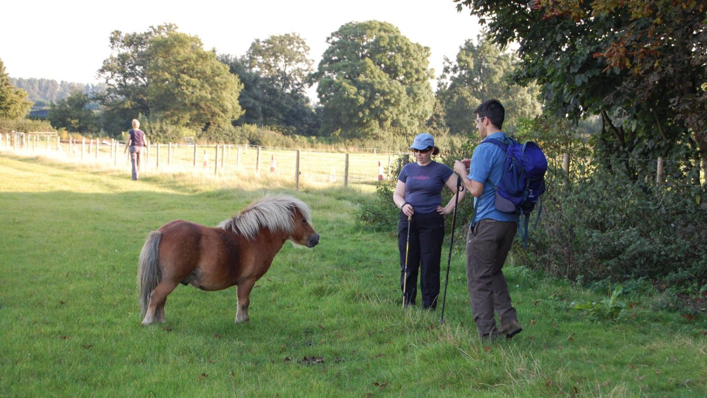 Two walkers greeting a shetland pony