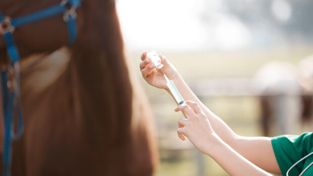 Drugs being drawn into a syringe with a horse standing in the background.