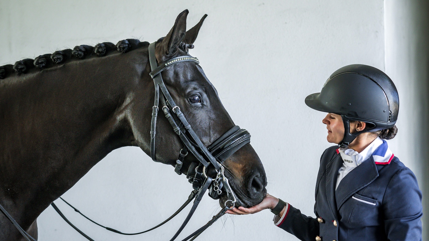 Rider feeding horse with padded noseband