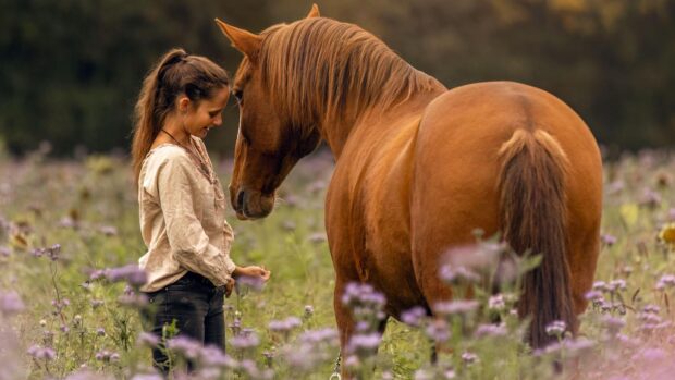 Woman with her chesnut horse in the field, the horse is easy to catch.