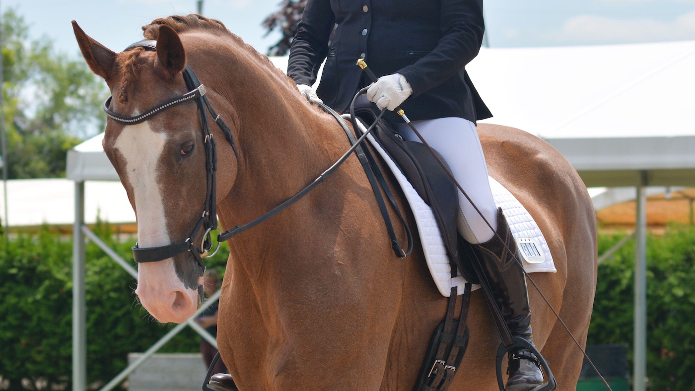 Drop noseband must be well fitted to avoid interfering with the function of the nostrils.