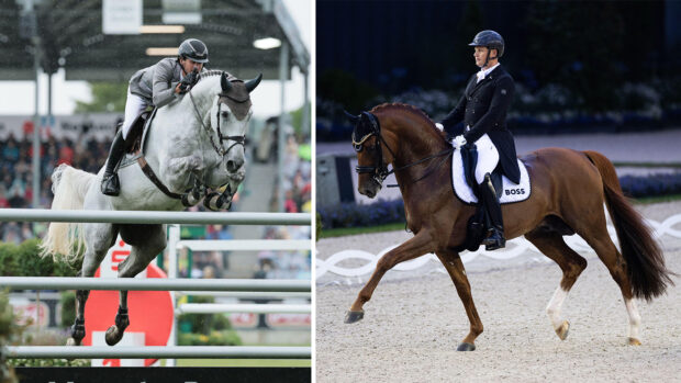 An image of s grey showjumper and a chestnut dressage, both competing at CHIO Aachen.