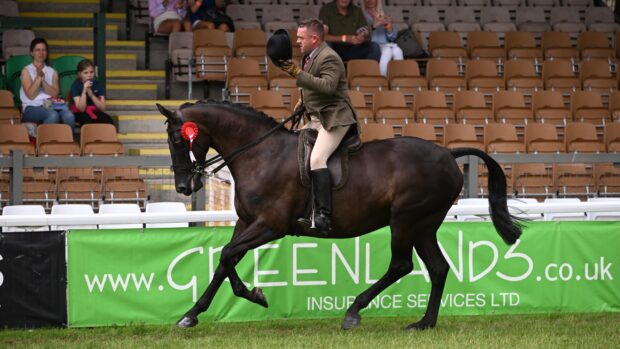 Matthew Ainsworth lifts his bowler hat to salute to spectators as he canter around on hunter champion Foxridge Hiraeth at Royal Welsh