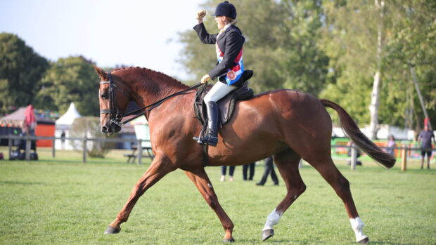 Scarlet Ribbons and Francoise Babington claim the amateur hunter supreme at the 2025 Royal International