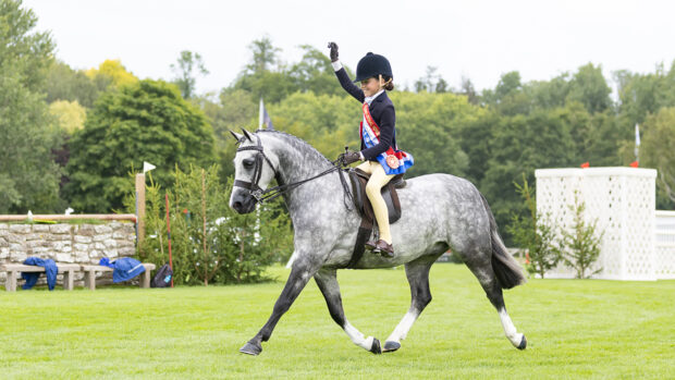 A grey show hunter pony in trot in the Hickstead main arena as the young rider wearing a sash raises her right hand to wave.