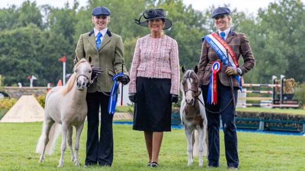 2025 Royal International Miniature reserve champion Model Farm UK Oh Whatta Man and champion Model Farm UK Midnight Meadow.