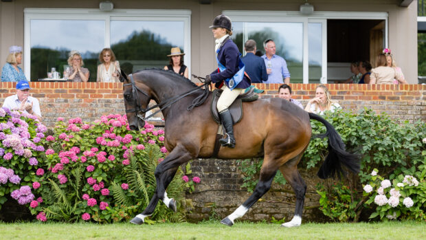 Young rider Alice Homer and Tidy Town are the small hunter and intermediate champions at the Royal International