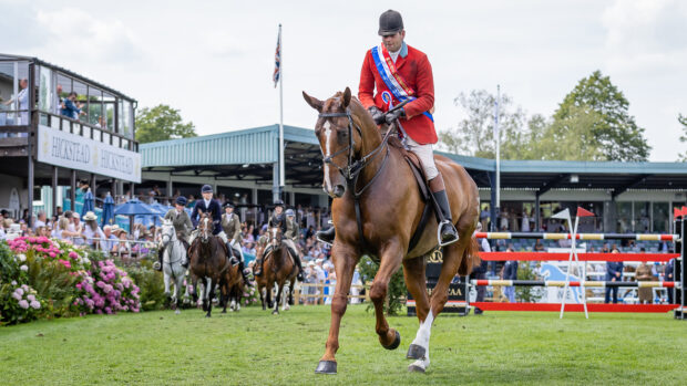 Craig Kiddier and 2025 Royal International working hunter champion Mulberry Lane don their sash to lead the hounds on their lap of honour