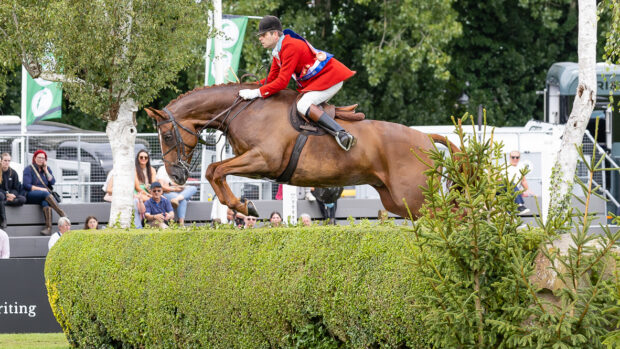 Mulberry Lane and Craig Kiddier jump the hedge in the International Arena during their lap of honour having stood supreme champion