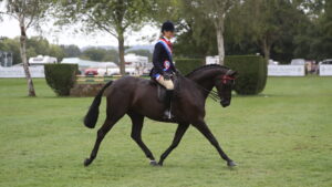 2025 Royal International Amateur supreme heads home with Rebekah Pring and Littletons Tiger Lily