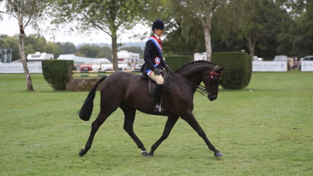 2025 Royal International Amateur supreme heads home with Rebekah Pring and Littletons Tiger Lily