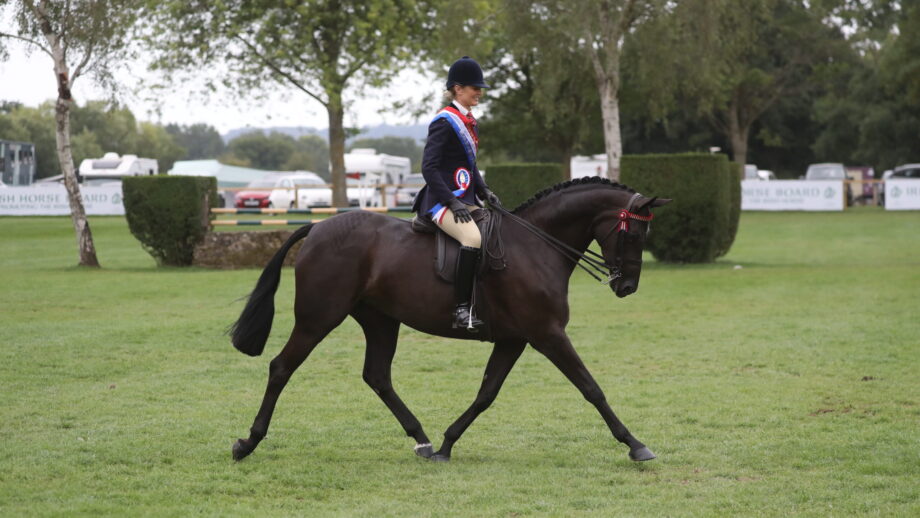 2025 Royal International Amateur supreme heads home with Rebekah Pring and Littletons Tiger Lily
