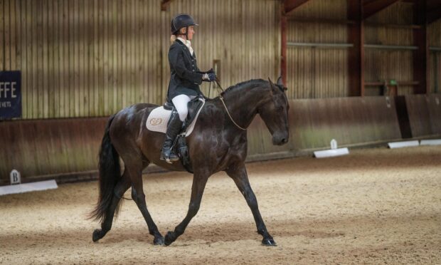 スポーツ・フィットネス Enjoying Dressage sinatolt3-small.png