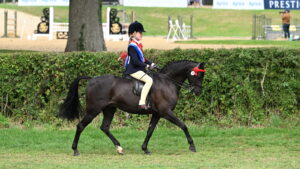 The 2025 Royal International senior champions Bonnie Inskip and Popalbee Temptation