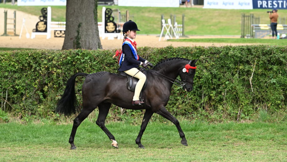 The 2025 Royal International senior champions Bonnie Inskip and Popalbee Temptation