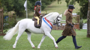 Katie White leads Rowfantina Hideaway Harry, ridden by Eliza Gredley-Scott, to stand mini M&M supreme champion at the Agria Royal International Horse Show
