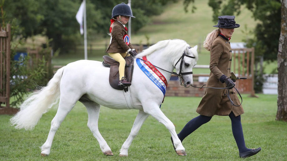 Katie White leads Rowfantina Hideaway Harry, ridden by Eliza Gredley-Scott, to stand mini M&M supreme champion at the Agria Royal International Horse Show