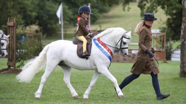 Grey Welsh section A Rowfantina Hideaway Harry is led by Katie White to vitory in the supreme M&M mini championship at the Royal International Horse Show