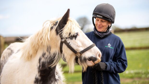 A groom with pony at World Horse Welfare’s Hall Farm.