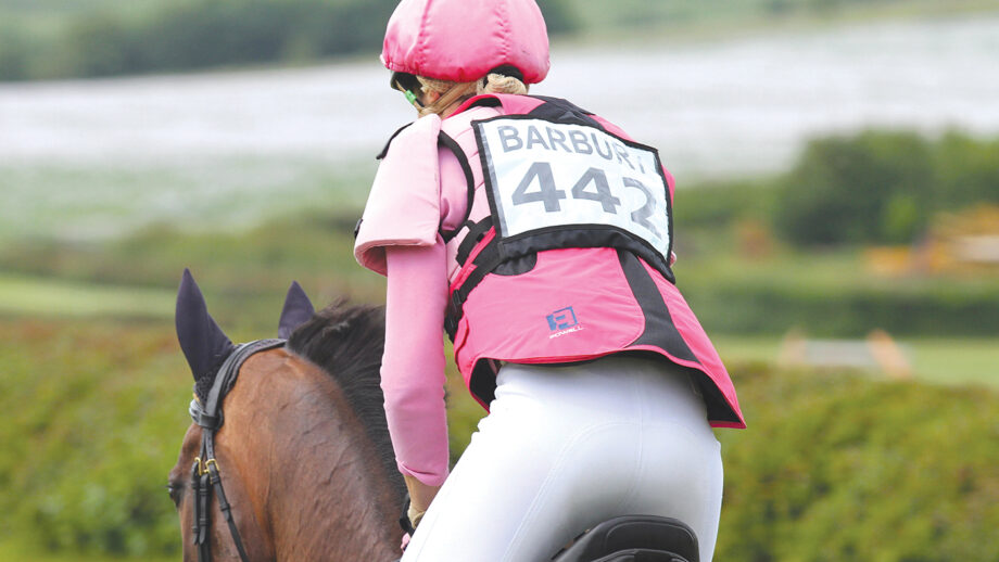 body protector vs back protector