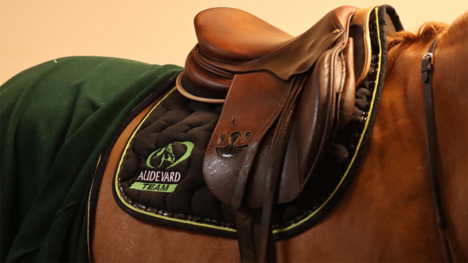 An Audevard saddle cloth