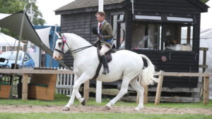 Monarch In The Mist and Will Morton are victorious in the 2025 Royal International maxi cob championship