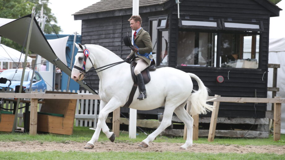 Monarch In The Mist and Will Morton are victorious in the 2025 Royal International maxi cob championship