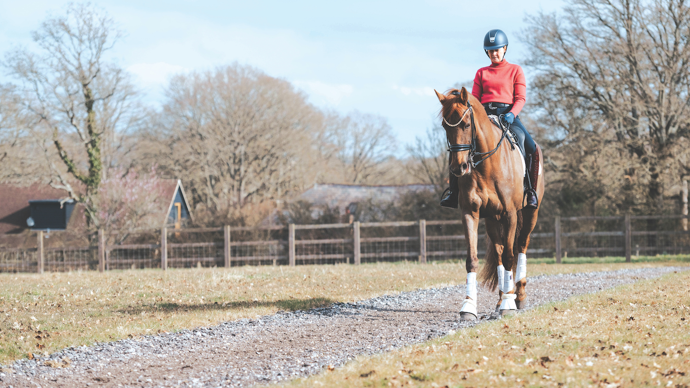 Woman riding chestnut horse in field