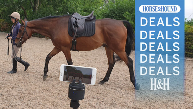 Pivo discounts for equestrians: Woman leads bay horse in front of a tripod and smartphone
