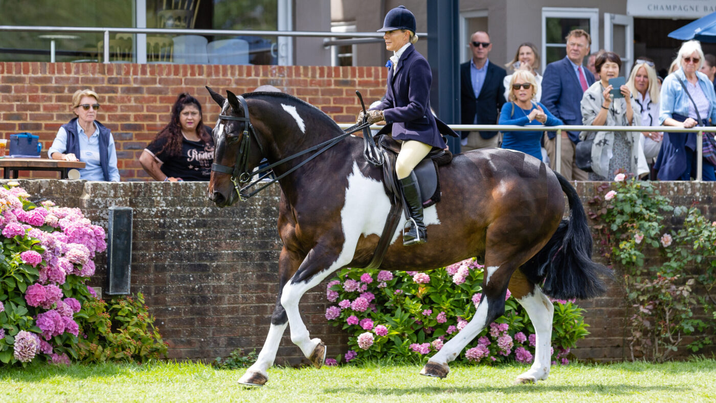 LIHS Rising Stars judge Danielle Heath rides coloured cob Mr Vincent to the 2025 Royal International cob championship