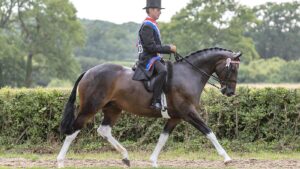 First of 10 coloureds who bagged at triclour at the 2025 Royal International: Lostock Up Till Dark and Harrison Taylor are supreme coloured.