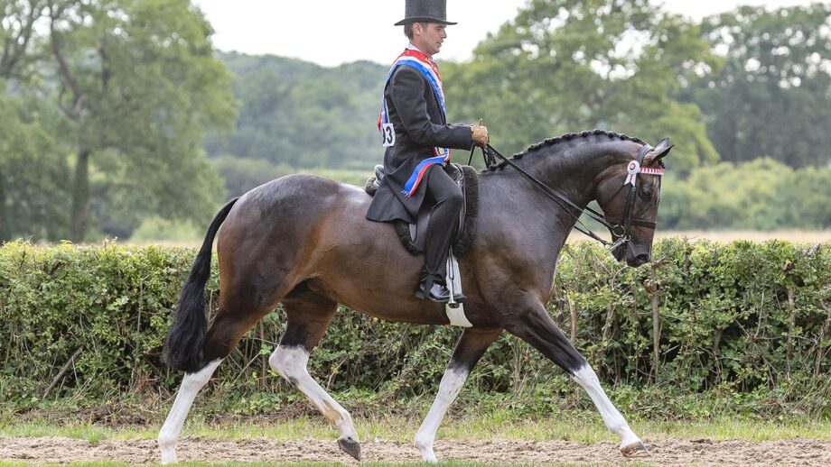 First of 10 coloureds who bagged at triclour at the 2025 Royal International: Lostock Up Till Dark and Harrison Taylor are supreme coloured.