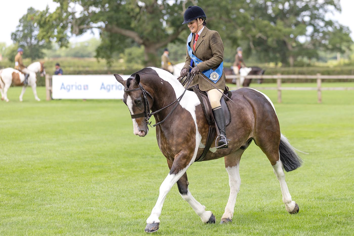Amy Riley and Stretcholt He’s Cob Rhythm in The Alan Marnie & Family Skewbald & Piebald Hogged Cob Ridden Championship at the 2025 Royal International Horse Show, 