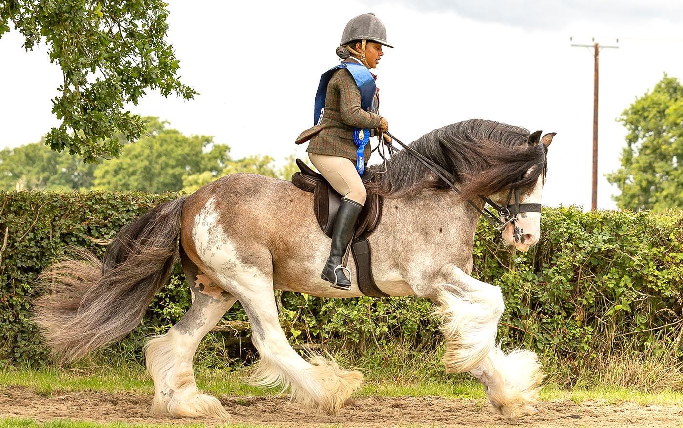Hannah Miller-Burton and SD Red Gambler are winners in the Alan Marnie & Family Skewbald & Piebald Native/Traditional Small Ridden Pony Championship at the 2025 Royal International 
