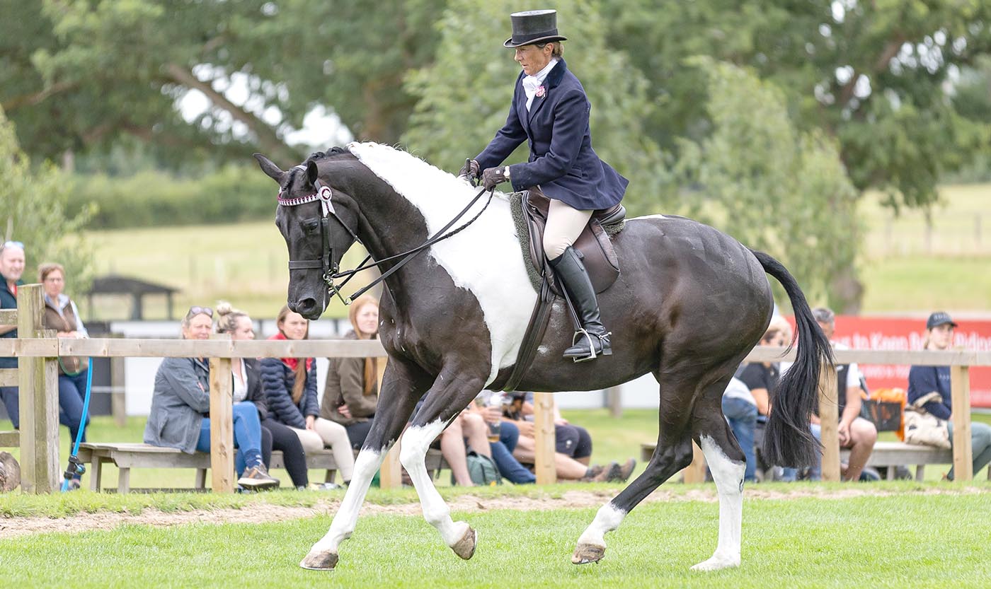 Jayne Ross and KBF Lucia win the Alan Marnie & Family Skewbald & Piebald Ridden Horse Championship at The Royal International Horse Show