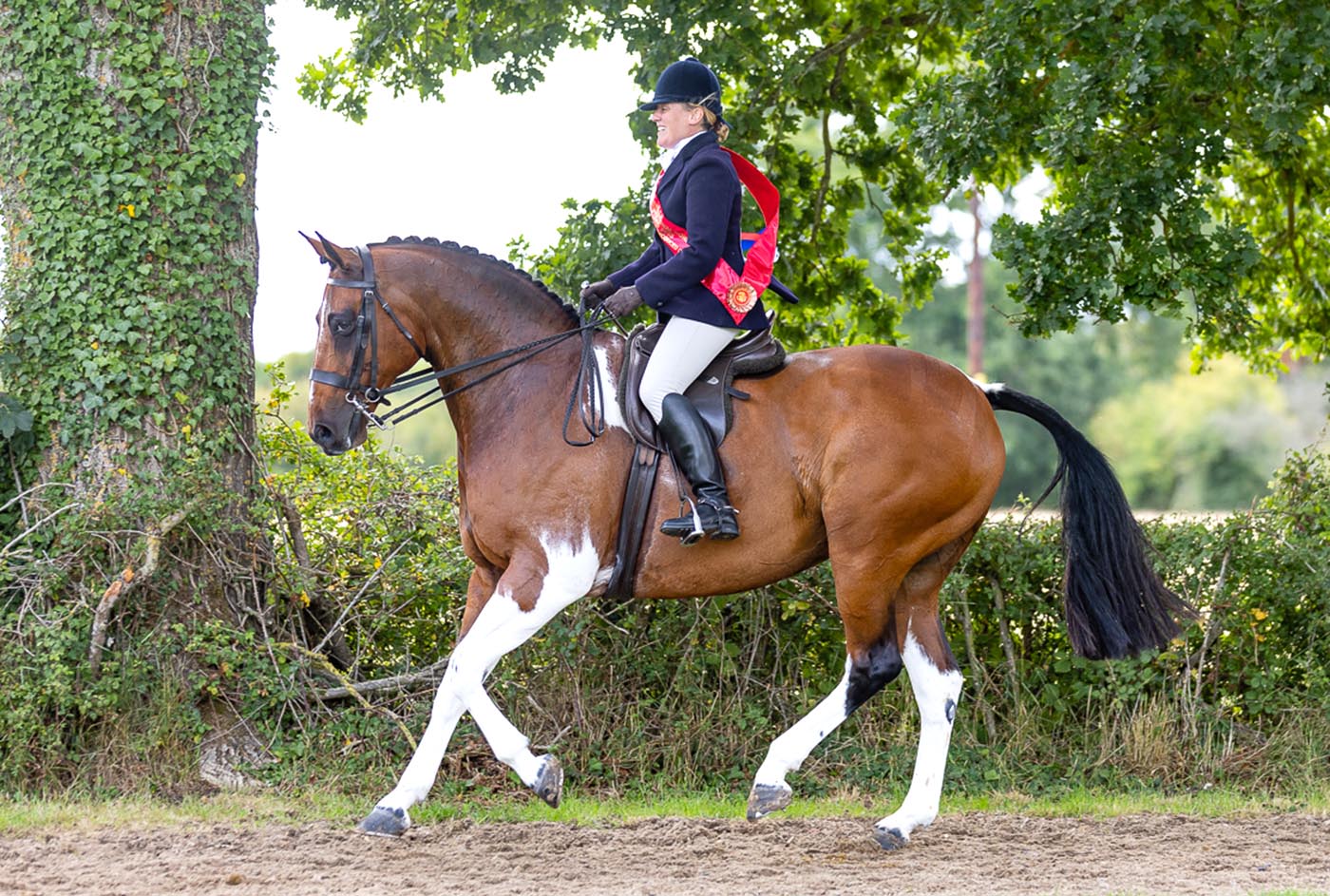 Penny Williamson and Ottawa take a win in the BSPA Merrigan Memorial Skewbald & Piebald Amateur & Home Produced Championship at the 2025 Agria Royal International 