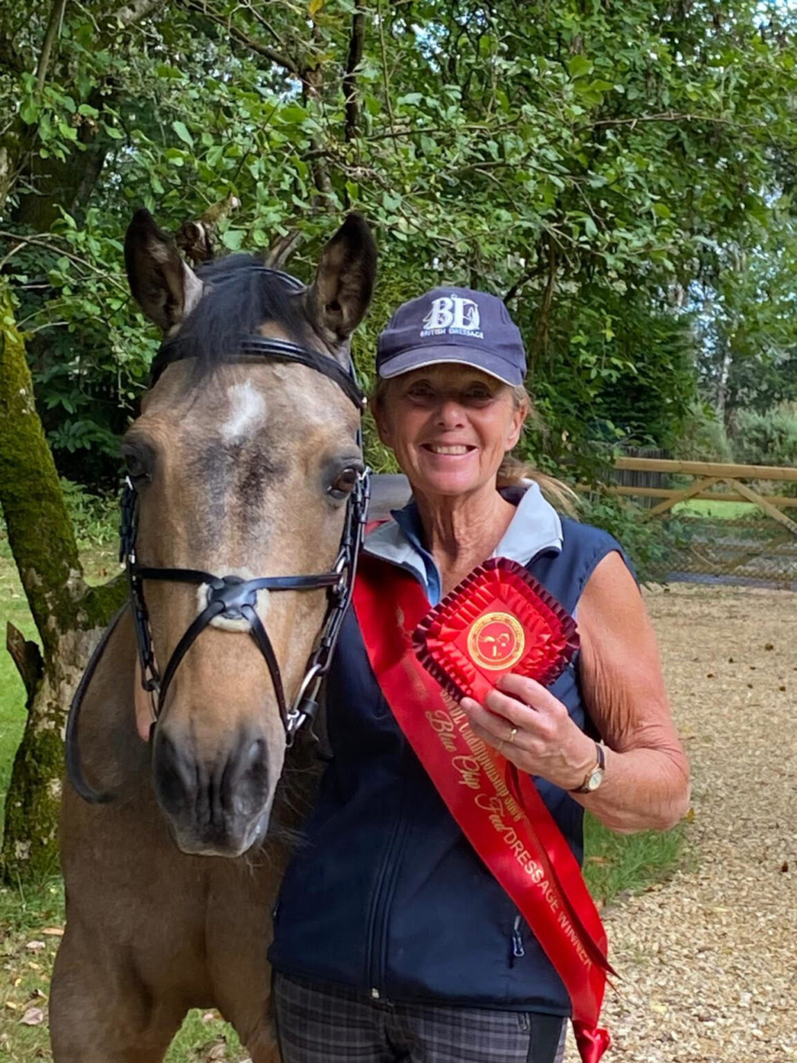 Dressage without a bridle and tributes to much-loved equestrians
