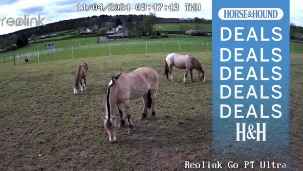 Screenshot from Reolink camera with H&H deals graphic